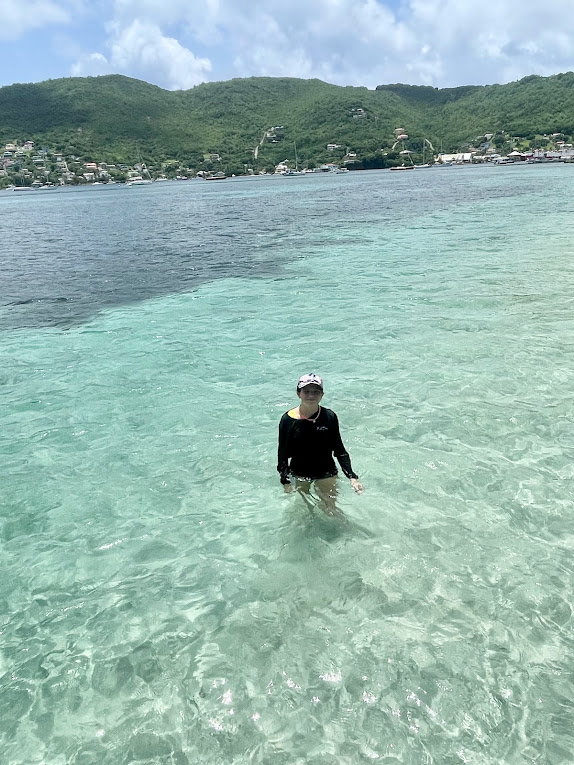 Caribbean yacht charters sea