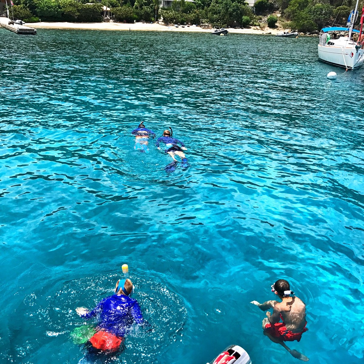 Snorkeling at Cooper Island BVI